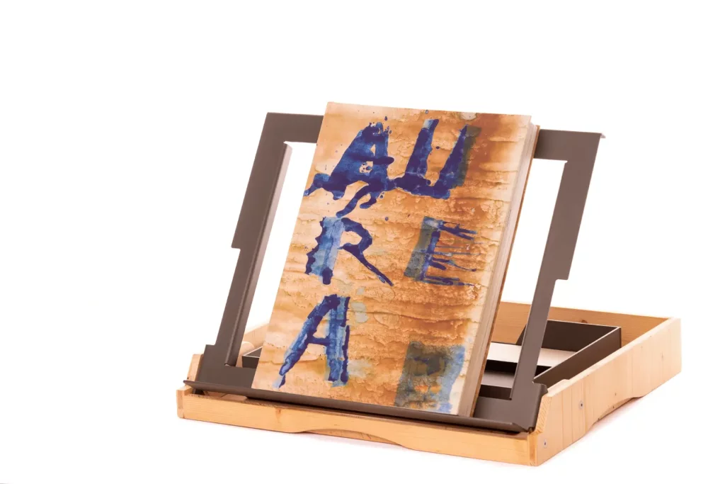 Aurea Dicta de Miquel Barcel&oacute;.